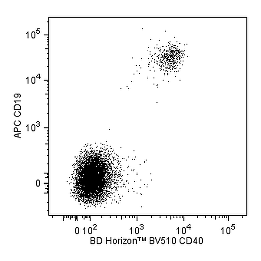 BD BV510 Mouse Anti-Human CD40