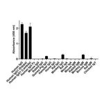 Thermo Fisher Scientific Goat anti-Human IgG Fab Superclonal Secondary Antibody, Alexa Fluor Plus 488