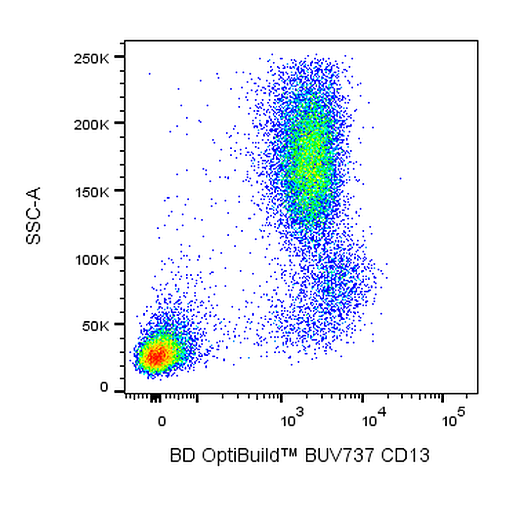 BD BUV737 Mouse Anti-Human CD13