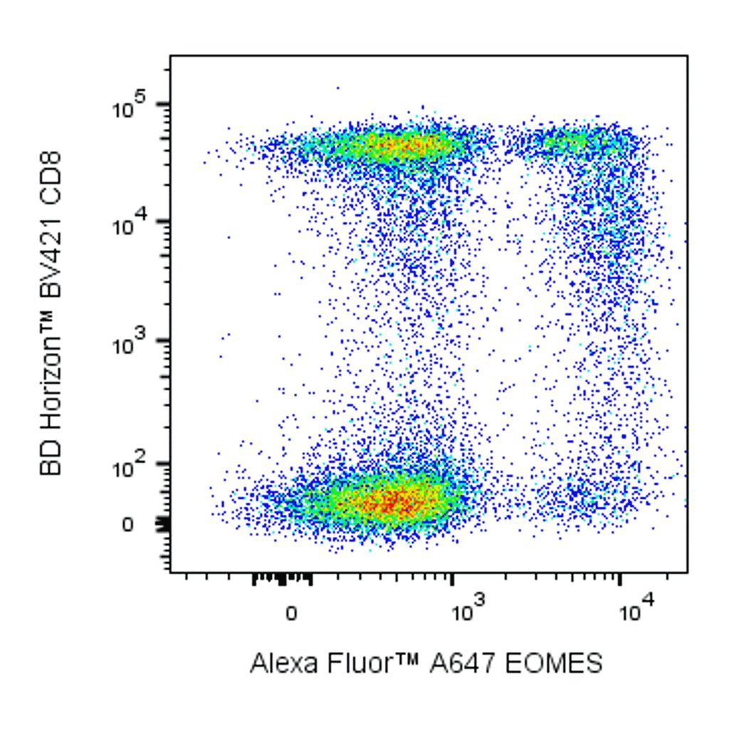 BD Alexa Fluor 647 Mouse Anti-EOMES