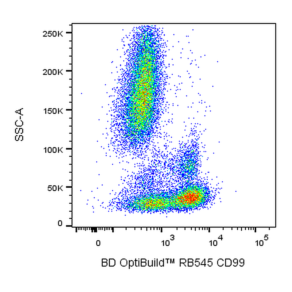 BD RB545 Mouse Anti-Human CD99