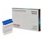 Thermo Fisher Scientific Fluo-5N, AM, cell permeant - Special Packaging