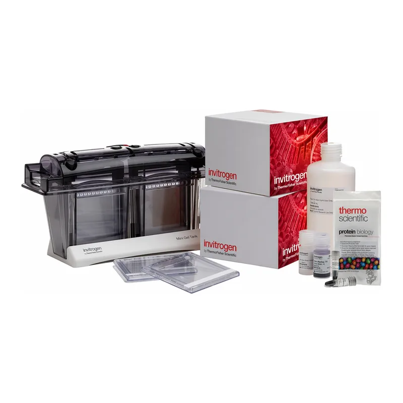 Thermo Fisher Scientific Novex Tricine Welcome Pack, 10%, 10-well, 1 Welcome Pk. kit