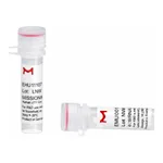 Merck MISSION(R) esiRNA