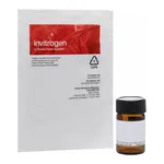 Thermo Fisher Scientific MQAE (N-(Ethoxycarbonylmethyl)-6-Methoxyquinolinium Bromide)