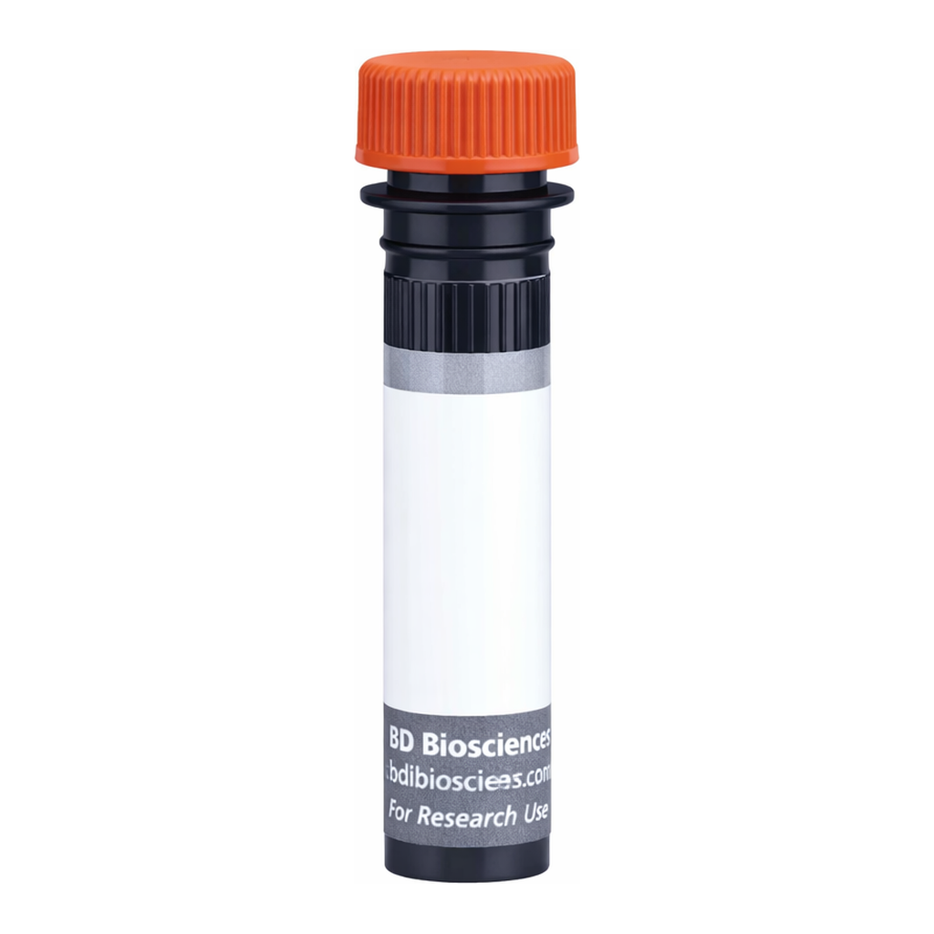BD BUV615 Mouse Anti-Rat β2 Microglobulin