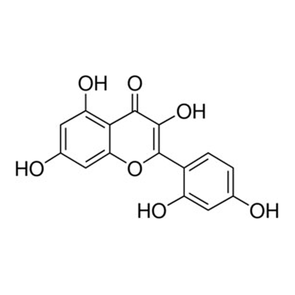 Merck MORIN