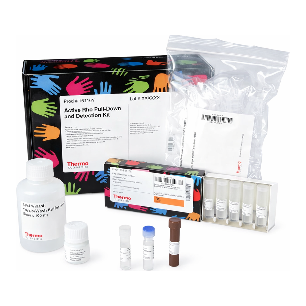 Thermo Fisher Scientific Active Rho Pull-Down and Detection Kit