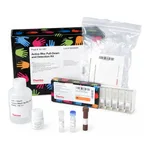 Thermo Fisher Scientific Active Rho Pull-Down and Detection Kit