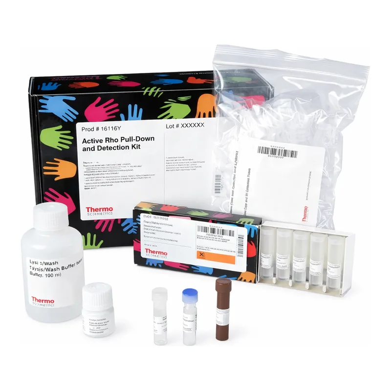 Thermo Fisher Scientific Active Rho Pull-Down and Detection Kit