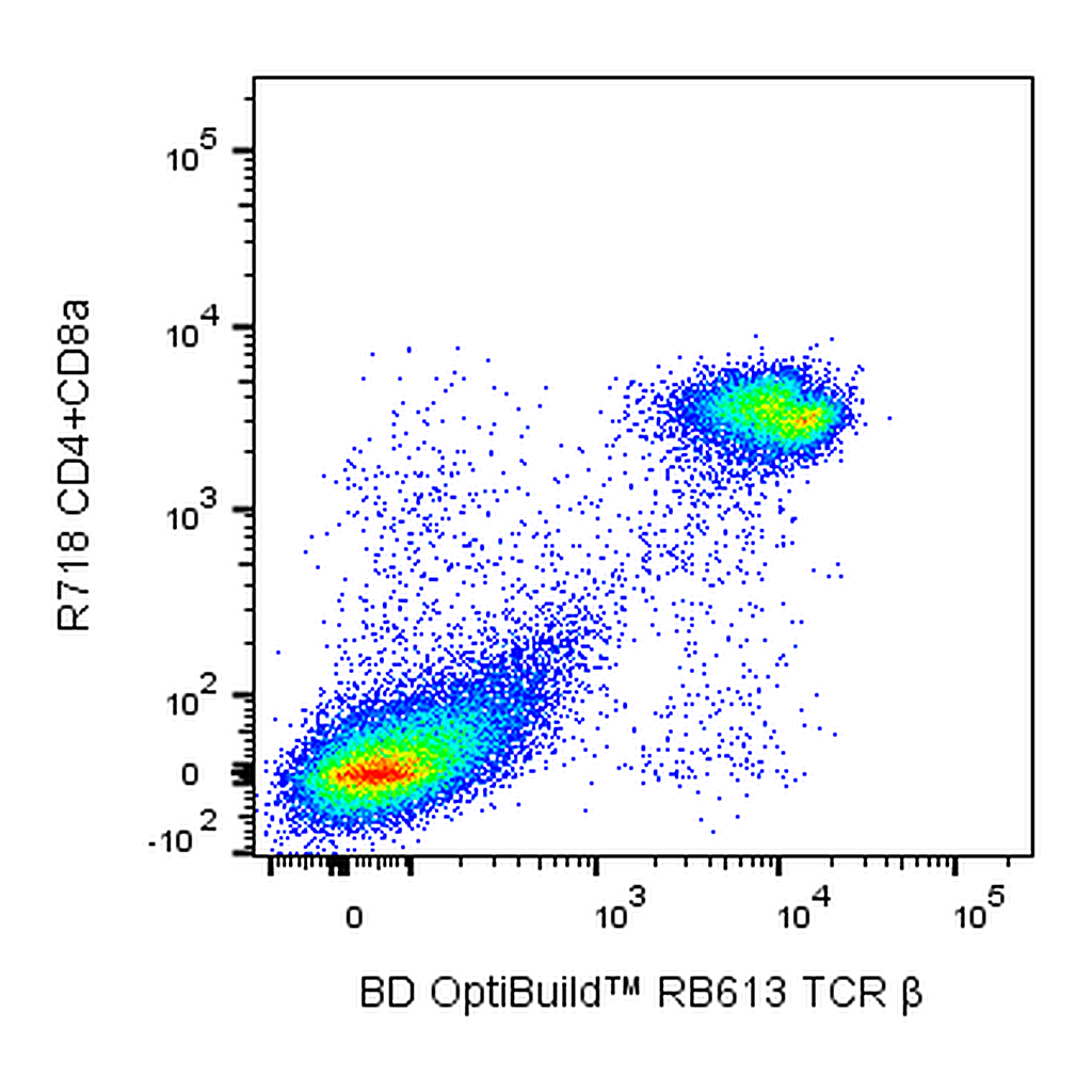 BD RB613 Hamster Anti-Mouse TCR β