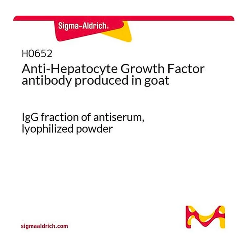 Merck Anti-Hepatocyte Growth Factor antibody produced in goat