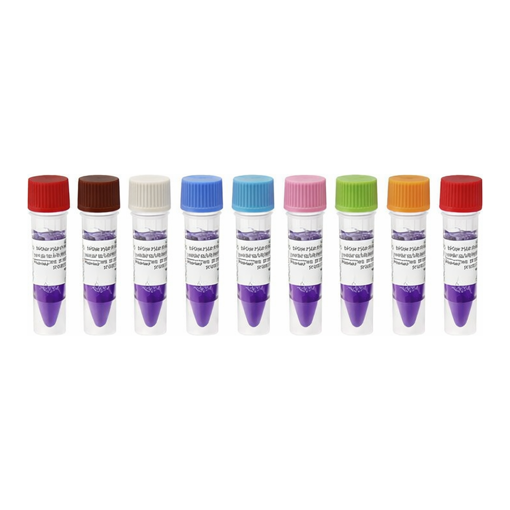 Norgen Clone Sizer 100 bp DNA Ladder