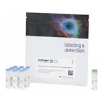 Thermo Fisher Scientific CellTrace Blue Cell Proliferation Kit, for flow cytometry, 180 Assays