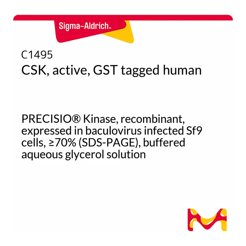 Merck CSK, active, GST tagged human