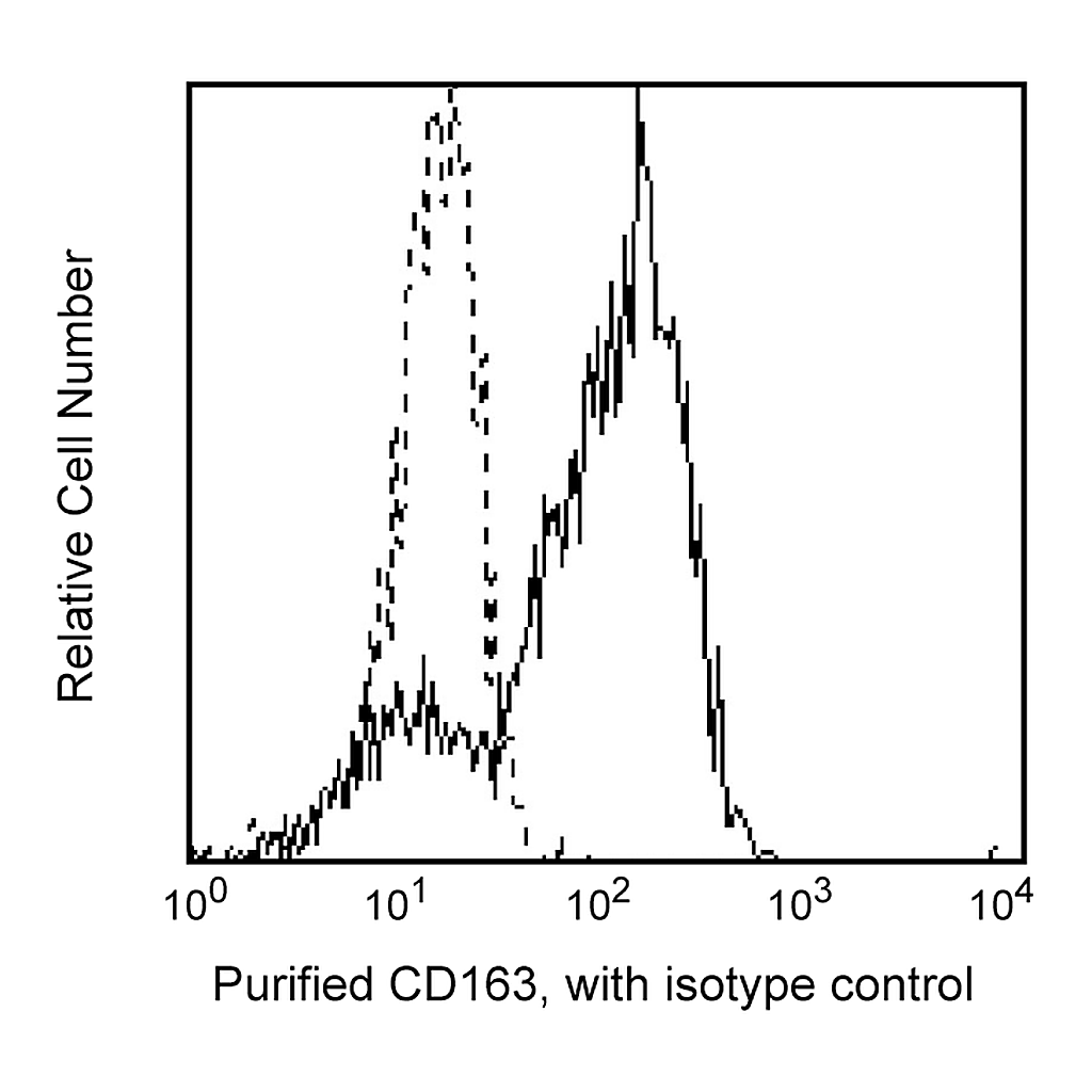 BD Purified Mouse Anti-Human CD163