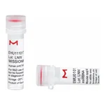 Merck MISSION(R) esiRNA