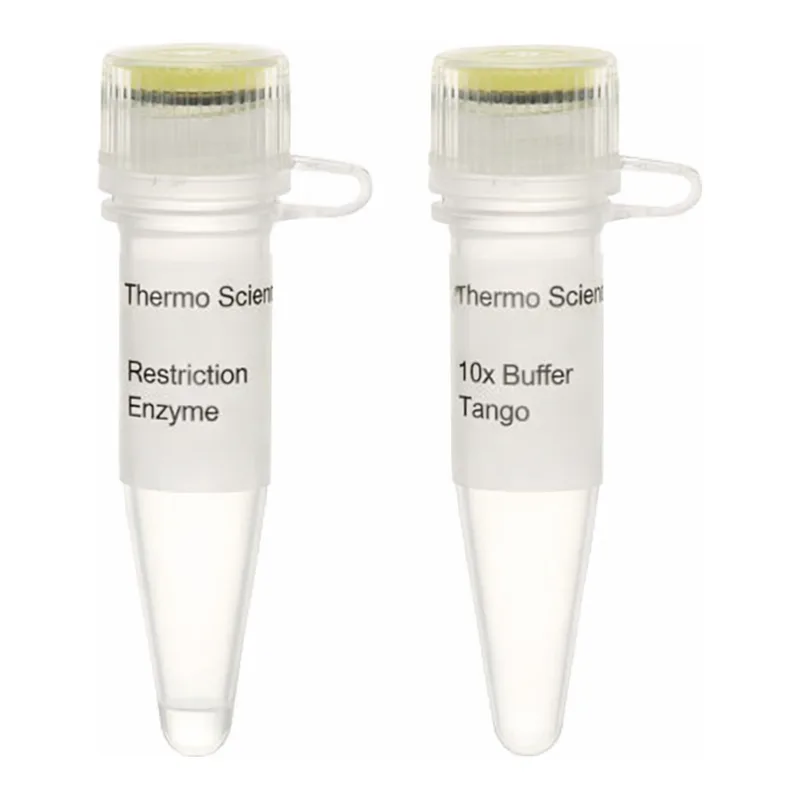 Thermo Fisher Scientific BspLI (NlaIV) (10 U/μL), 200 units