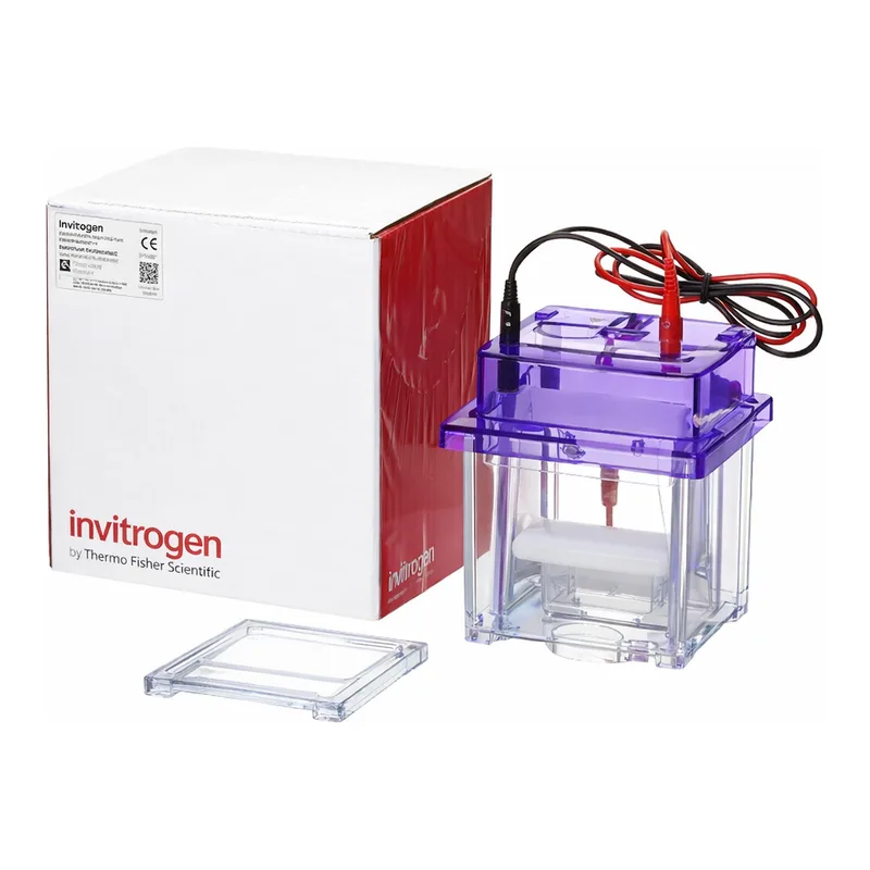 Thermo Fisher Scientific ZOOM IPGRunner Mini-cell