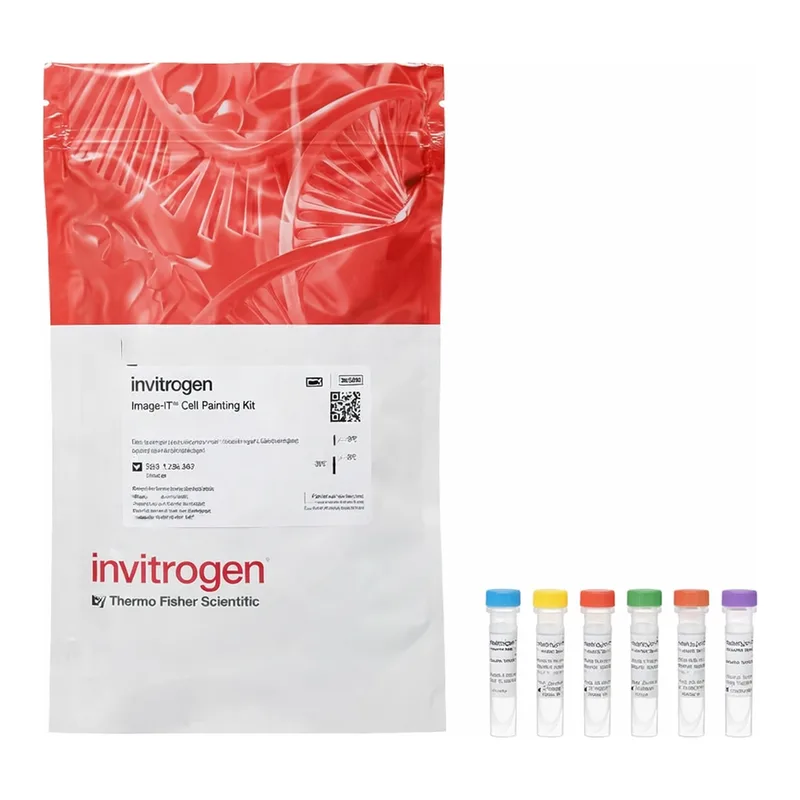 Thermo Fisher Scientific Image-iT Cell Painting Kit, Sufficient for two 384- or 96-well plates