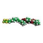 Merck 18:1-D7 LYSO PC