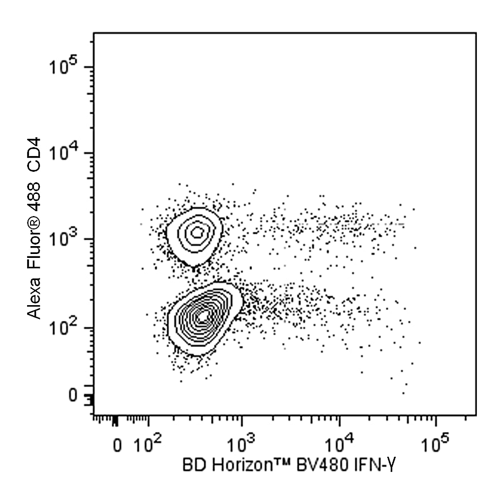BD BV480 Rat Anti-Mouse IFN-γ