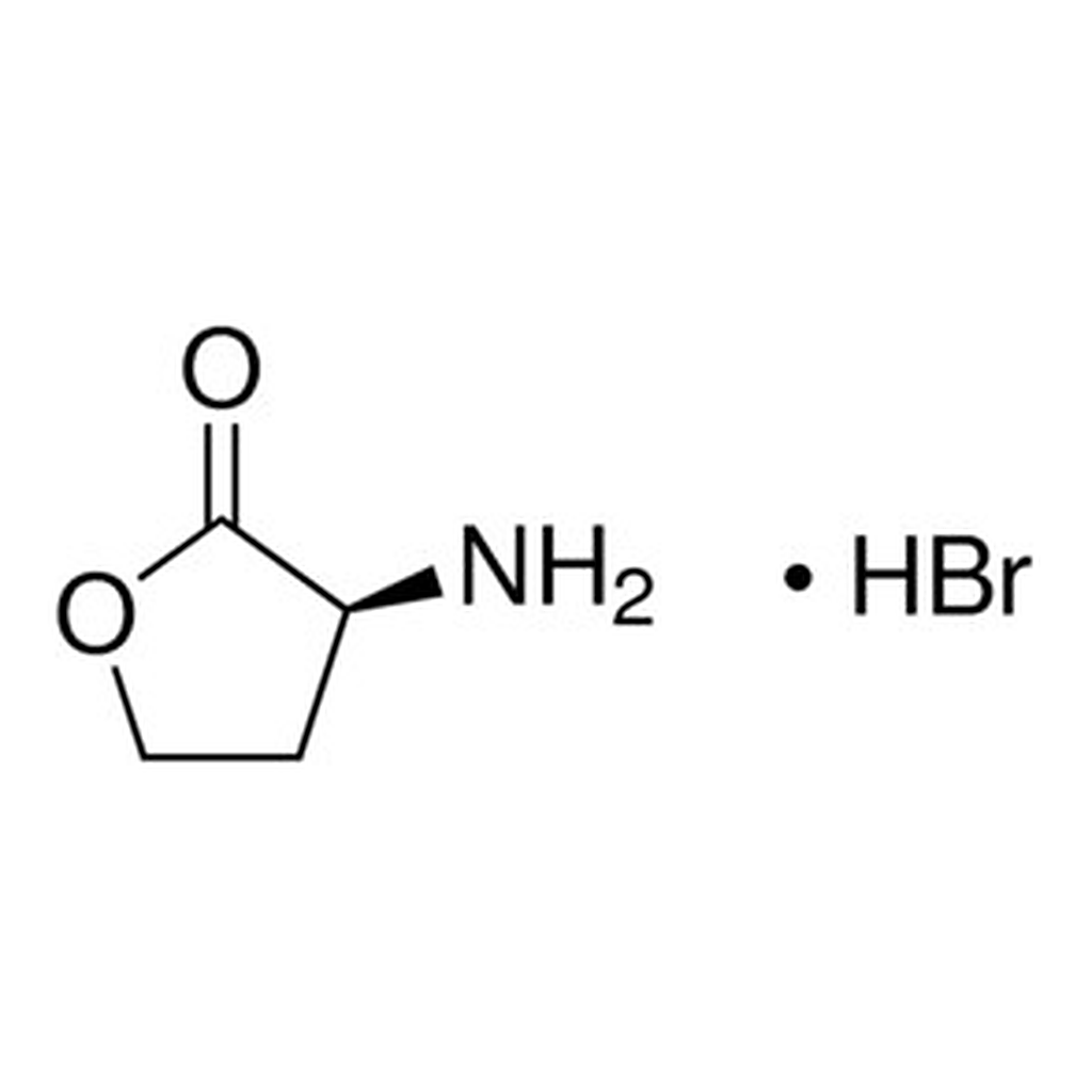 Merck (S)-(-)-ALPHA-AMINO-GAMMA-BUTYROLACTONE&