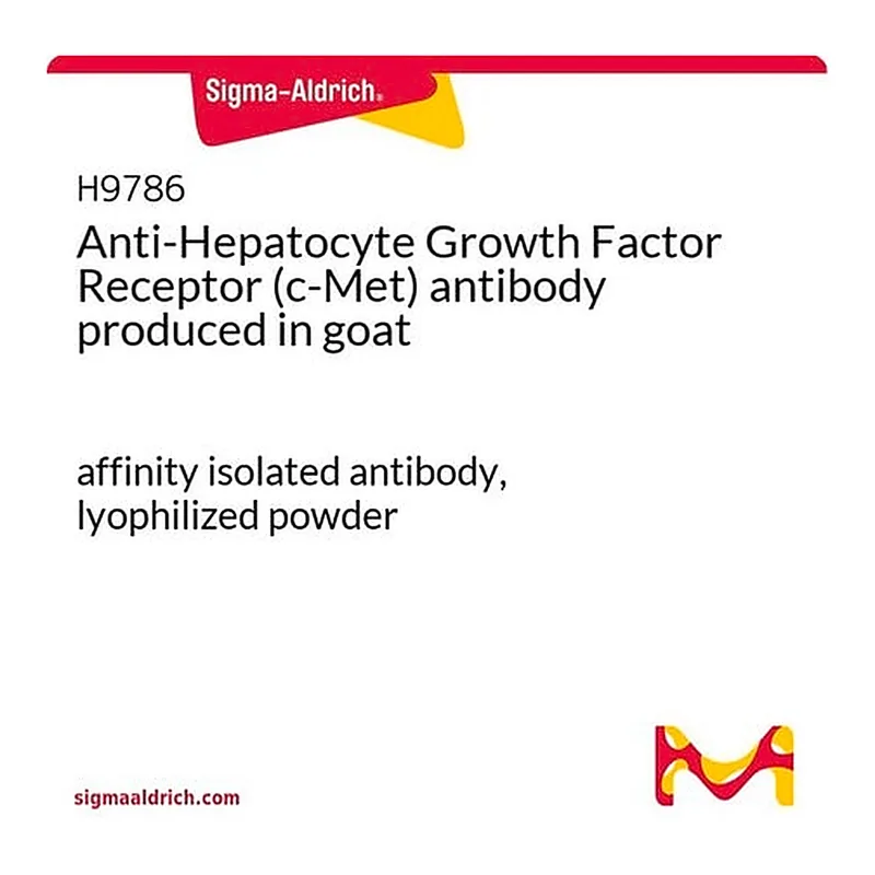 Merck Anti-Hepatocyte Growth Factor Receptor (c-Met) antibody produced in goat