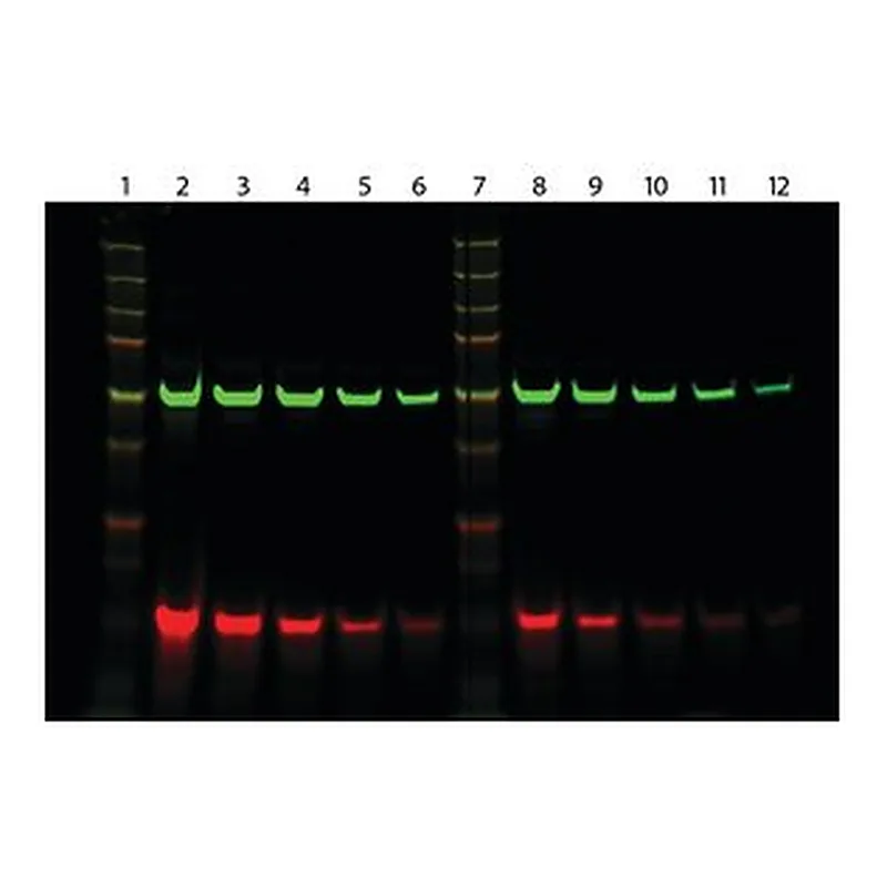 Merck ANTI-RABBIT IGG (H+L), HIGHLY CROSS-ADSO