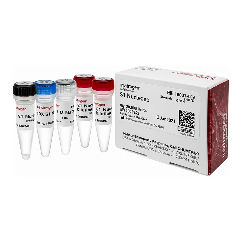 Thermo Fisher Scientific S1 Nuclease
