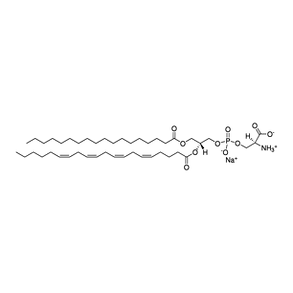 Merck 18:0-20:4 PS
