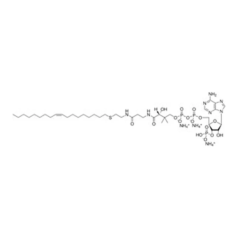 Merck 18:1 ETHER COENZYME A