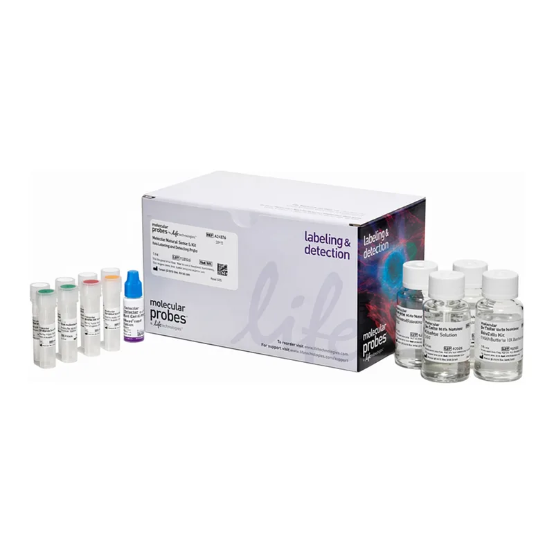 Thermo Fisher Scientific Human Neural Stem Cell Immunocytochemistry Kit