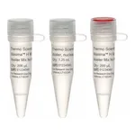 Thermo Fisher Scientific Maxima H Minus cDNA Synthesis Master Mix, Each