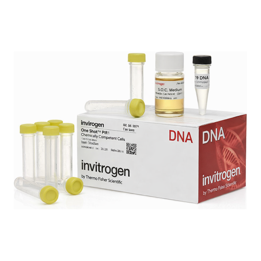 Thermo Fisher Scientific One Shot PIR1 Chemically Competent E. coli