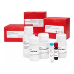 Merck TYROSINE COLORIMETRIC ASSAY KIT