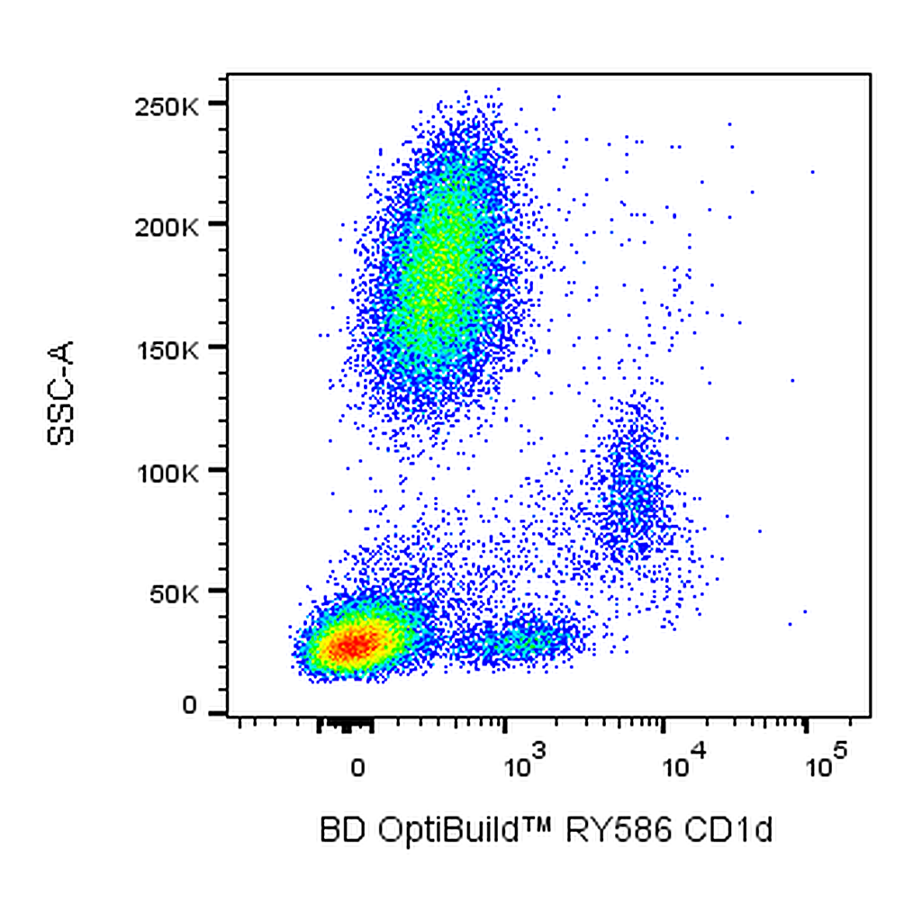 BD RY586 Mouse Anti-Human CD1d