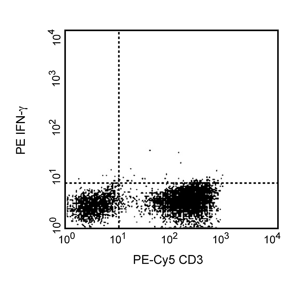 BD PE Mouse Anti-Human IFN-γ