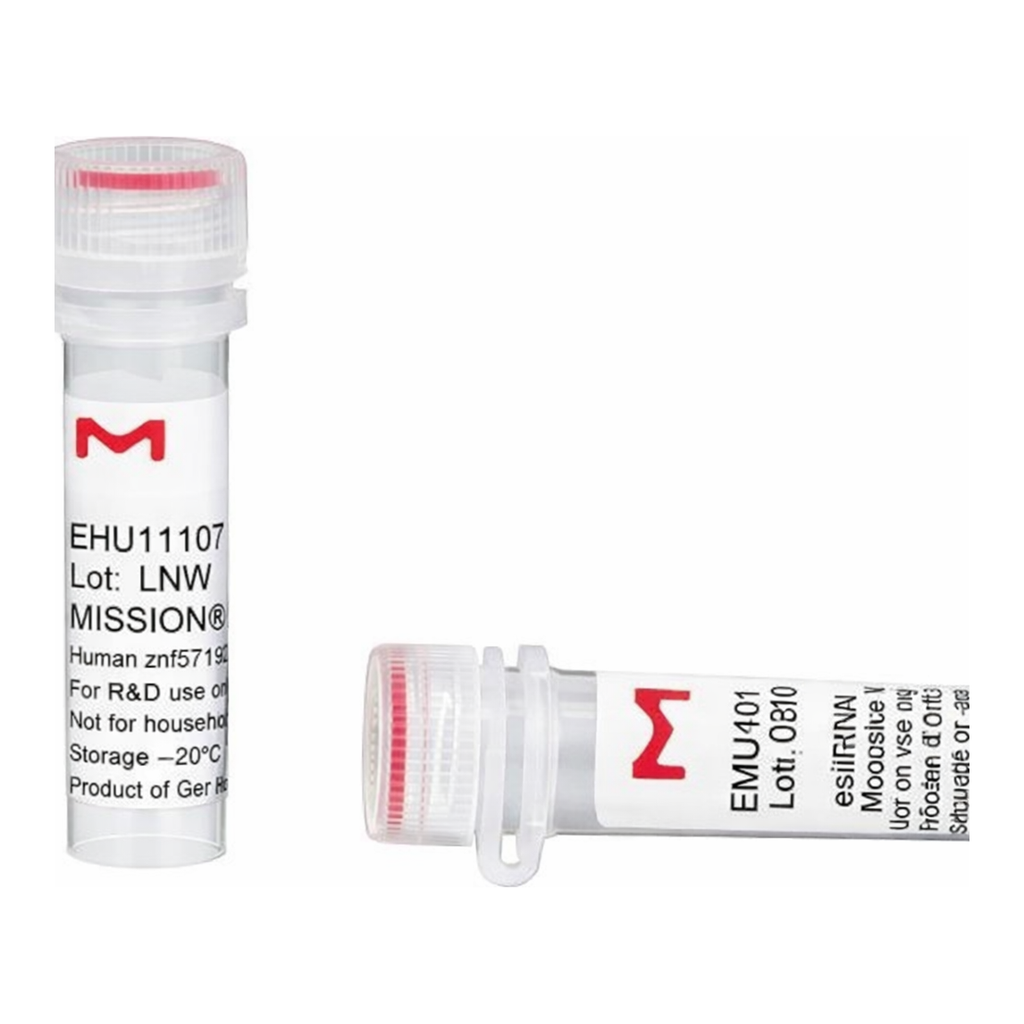 Merck MISSION(R) esiRNA
