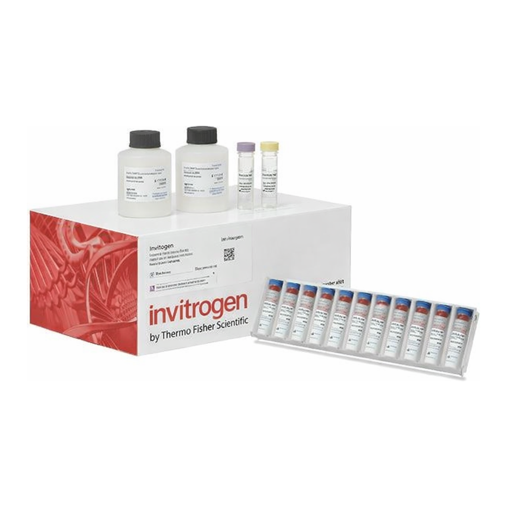 Thermo Fisher Scientific Chicken IFN gamma Matched Antibody Pair