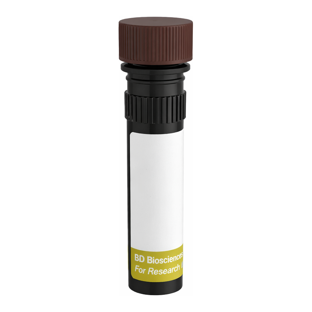 BD RY703 Mouse Anti-Human CD243 (P-glycoprotein)
