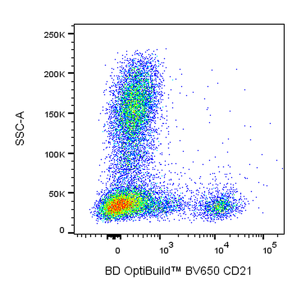 BD BV650 Mouse Anti-Human CD21