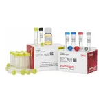 Thermo Fisher Scientific Zero Blunt TOPO PCR Cloning Kit, with One Shot TOP10 Electrocomp E. coli, 25 Reactions