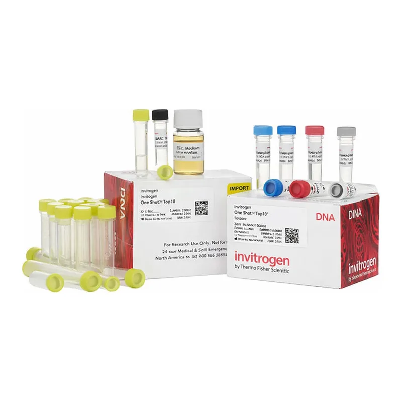 Thermo Fisher Scientific Zero Blunt TOPO PCR Cloning Kit, with One Shot TOP10 Electrocomp E. coli, 25 Reactions