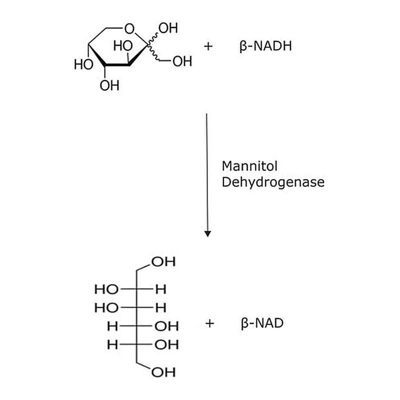Merck Mannitol Dehydrogenase from Leuconostoc mesenteroides