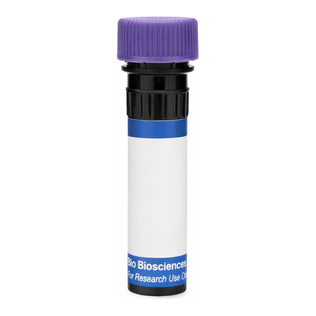 BD RB744 Rat Anti-Mouse Vα 8.3 T-Cell Receptor