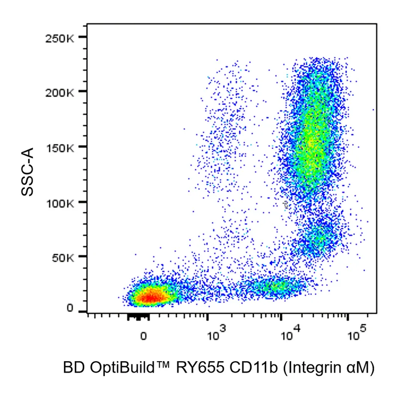 BD RY655 Mouse Anti-Human CD11b (Integrin αM)
