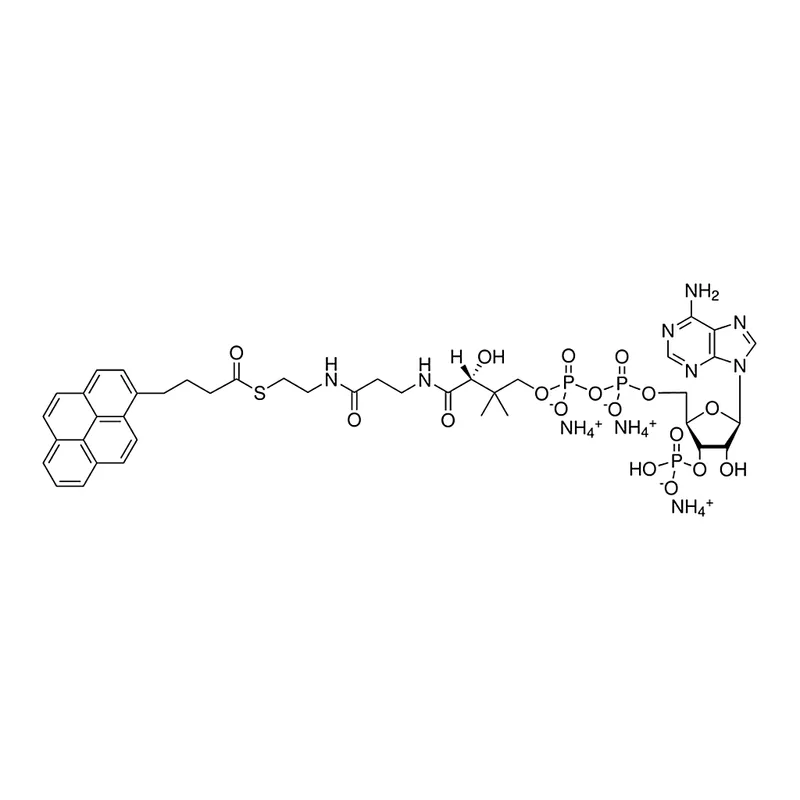Merck 04:0 Pyrene Coenzyme A