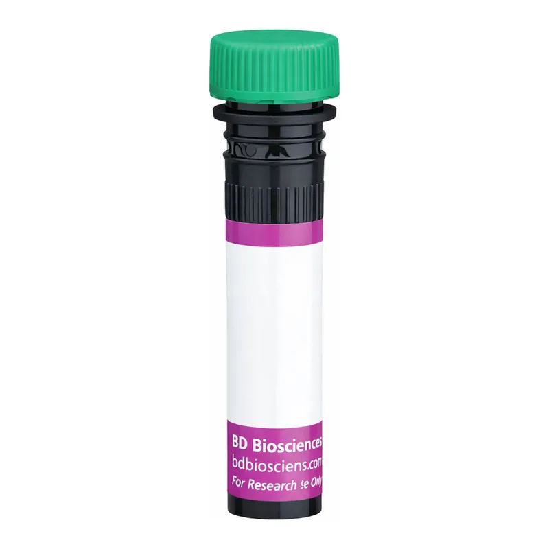 BD BV480 Mouse Anti-Rat γδ T-Cell Receptor