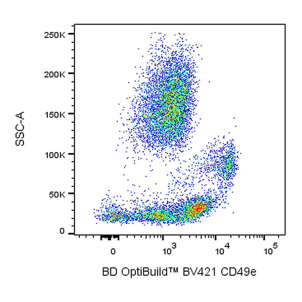 BD BV421 Mouse Anti-Human Integrin α5 chain (CD49e)